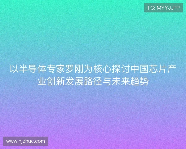 以半导体专家罗刚为核心探讨中国芯片产业创新发展路径与未来趋势