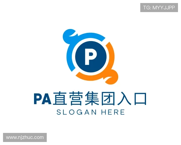 介绍PA直营集团